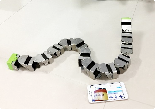 Snake robots