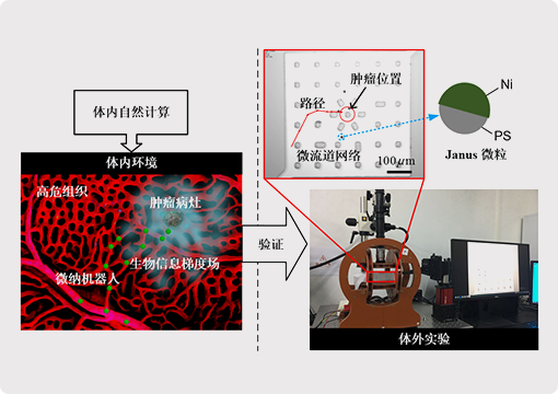 Magnetic micro-nano robot verification platform